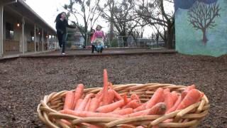 Carrots Farm to Fork: Meet California farmer Matthew Martin