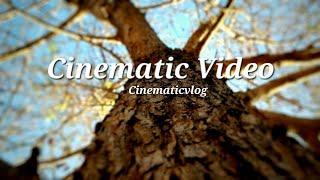 Cinematic Short Video/Nature Short Video #cinematicvlog #lovethenature #Viral#Shorts#ShortVideo