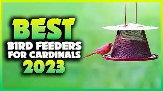 Top 5 Best Bird Feeders for Cardinals You can Buy Right Now [2024]