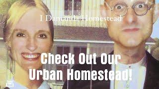 I Damanda Homestead; Tour our urban homestead in southern Ontario!