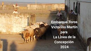 Embarque Toros Victorino Martín para La Línea de la Concepción 2024