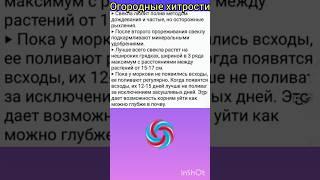 Дачные лайфхаки #советы#огород#дача#советы#лайфхаки