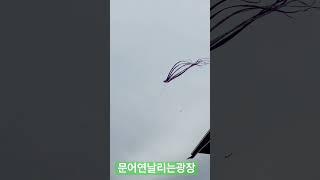 가을의 수원여행