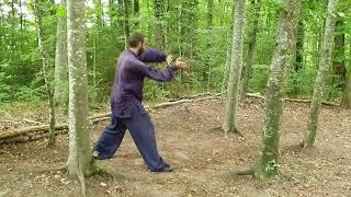 5 Animal Qi Gong in the flow of Taiji - Xuanwupai Gong Fu in Bern