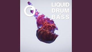 Liquid Drum & Bass Sessions 2020 Vol 24 (The Mix)