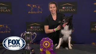 WATCH: Best of 2021 Masters Agility Championships from Westminster Kennel Club | FOX SPORTS