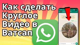 Круглое Видео в Ватсап, Как сделать и отправить Видеосообщение в WhatsApp