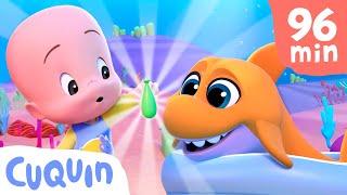 Baby Shark Balloons and more educational videos with Cuquin Videos & cartoons for babies