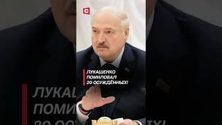 Лукашенко помиловал 20 осуждённых! #лукашенко #политика #новости #беларусь #амнистия #заключенные