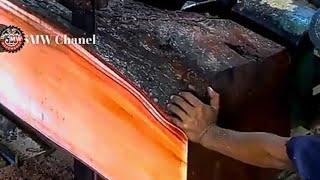 Shocking Reaction When This Giant Wood Was Cut And Sawed