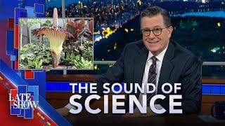 The Sound Of Science: Bodily Fluids In Space | Stray DNA | Why The Corpse Flower Stinks