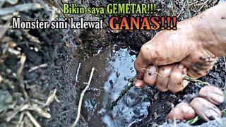 Super ganas!!! Monster Belut di sini kelewatan Ganasnya!!!