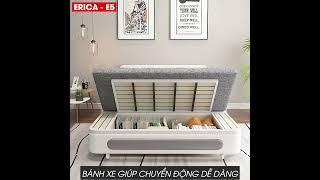 GIƯỜNG SOFA ĐA NĂNG CAO CẤP ERICA - E5