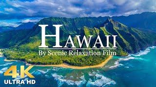 【4k 영상】자연영상 | 힐링영상 | 아름다운 하와이 여행 바다풍경 |랜선여행 | 고화질 테스트영상 | 카페 영상 | 스트레스 해소음악, 잠잘때 듣는 음악, 불면증치료음악,수면유