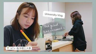 [UNI VLOG] daily life in university (lectures, hall life, worm in my room)