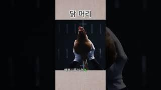 닭 머리 || 흥미로운 지식