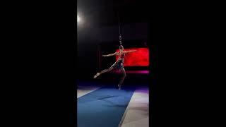 Megan Johnston Hair Hang Act- I See Red