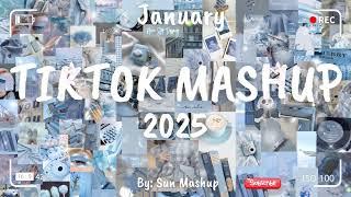 Tiktok Mashup January 2025 (Not Clean)