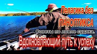 ПЕЛАГИЧЕСКИЙ СУДАК без ПАНОПТИКСА. ТЕХНИКА ЛОВЛИ и КАК ЕГО ПОЙМАТЬ. 22.09.2024.