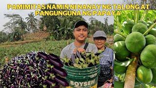 PAMIMITAS NAMIN NI NANAY PAMIMIGAY SA MGA KAIBIGANAT PAPAYA AT MAY OMORDER @bomboyvlogs3518