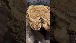 Журнальный столик... Каповый Карагач, эпоксидная смола и масло