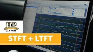 Optimising Your Tune Using Short & Long Term Fuel Trims (STFT + LTFT) [GOLD WEBINAR LESSON]