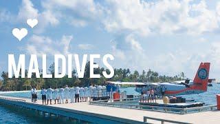 랜선 여행 ️ 몰디브 카니푸시 리조트 고객 환영식 Online Travel-Maldives Kanifushi Resort Welcome Ceremony (2016.04)