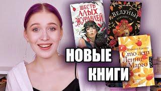 БОЛЬШИЕ КНИЖНЫЕ НОВИНКИ готовим кошельки для новых книг