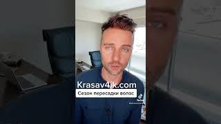 Сезоны для пересадки волос. Когда лучше делать пересадку? #Красавчик #пересадкаволос #krasav4ik