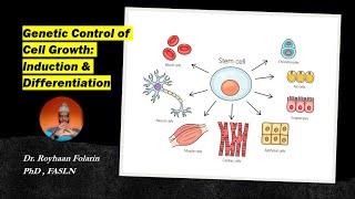 Induction and differentiation: Genetic Control of Cell Growth