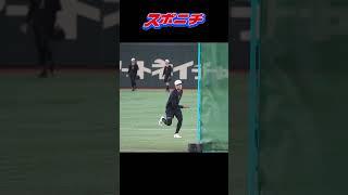 巨人・新外国人モンテス登場！ #shorts