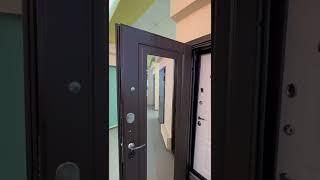 Входная дверь для квартиры Рубикон металлпанель Серебристый анктик + Эковенге зеркало