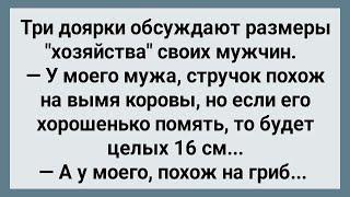 Три Доярки Обсуждают Размеры Хозяйства Своих Мужиков! Сборник Свежих Анекдотов! Юмор!