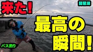 ついに最高の瞬間がやってきた！！【琵琶湖】【バス釣り】【シャーベットヘアーチャンネル】