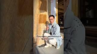 Красим деревянное строение #зухрашакирова #drevocraft #красивыедома #баняизкедра #домизкедра #красим