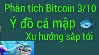 phân tích Bitcoin sui ton not xrb pepe sol hôm nay ngày 3/10 altcoin crypto giảm mạnh vì sao