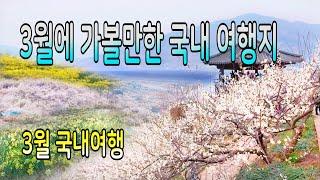 3월에 가면 좋은 국내 여행지 BEST3 /  3월 여행