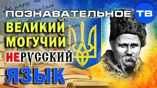 Как делают незалежну Украину 2: Великий могучий нерусский язык (Познавательное ТВ, Елена Гоголь)