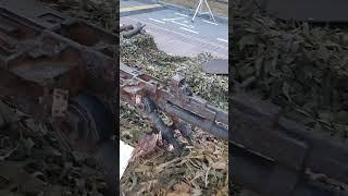 Томск. Новособорная площадь.