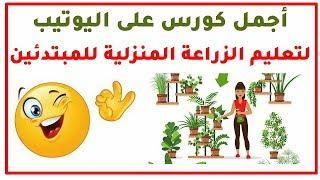 تعليم الزراعة للمبتدئين