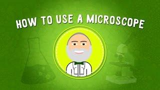 How to Use a Microscope | STEM