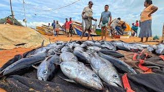 Wow! Amazing Perfect Village Traditional Street's Fish Market