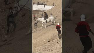 КАКОЙ КРАСИВЫЙ КОНЬ#таджикистан #бузкаши #shorts