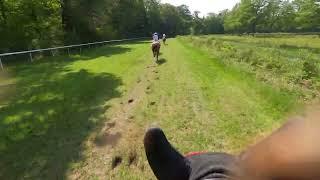 Challenge France Sire des Cavalières #2 Le Pin au Haras - Tracy Menuet