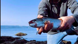 Tips That Will Help You Catch MORE Sea Trout!!! [Sea Fishing UK]