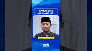 Apakah Bulu Kucing najis? - Ustadz Ammi Nur Baits