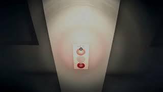 Night Security