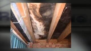 Roof Repair Bedford - 01234 305924