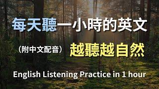 保母級聽力訓練｜日常英文句子特訓｜真實對話範例｜零基礎也能聽懂｜學會高頻使用英文｜English Listening（附中文字幕）