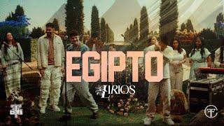 Lirios - Egipto (Official Video) | EL JARDIN 🪷